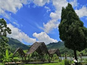  虚心谷：自然农耕比你想象的还有趣 