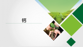 钙上下合集基础班音频