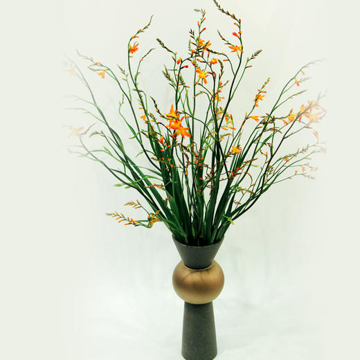 【周四秒杀】火焰兰1把39.8元 商品图4