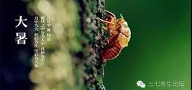  大暑：四之气参考方 