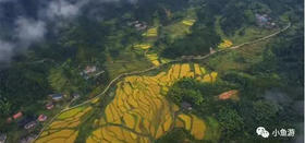  用10年种一谷良心稻，这个帅大叔的客栈还特有格调 