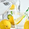 冻干柠檬 | 选取柠檬中段 果肉丰富 色泽鲜艳 多种营养元素 酸甜润沁心 商品缩略图2