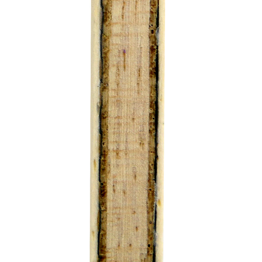 骄猛xiom 冰激凌 ice cream azx 两面异质乒乓底板 郑荣植使用 天使与