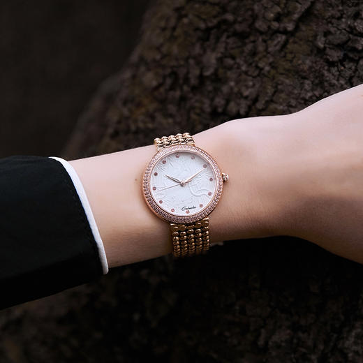 卡罗莱女士手表时尚镶钻简约女表复古浮雕防水精钢带石英腕表