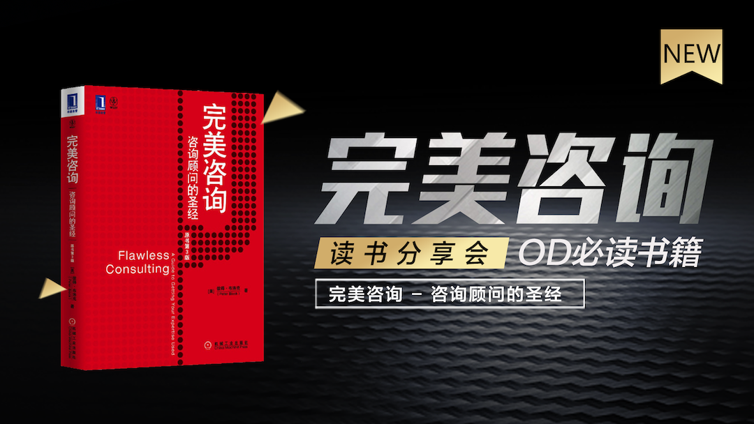 读书分享会 - 《完美咨询》