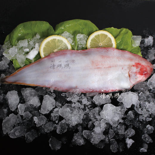 新鲜玉秃鱼(下单次日发货)