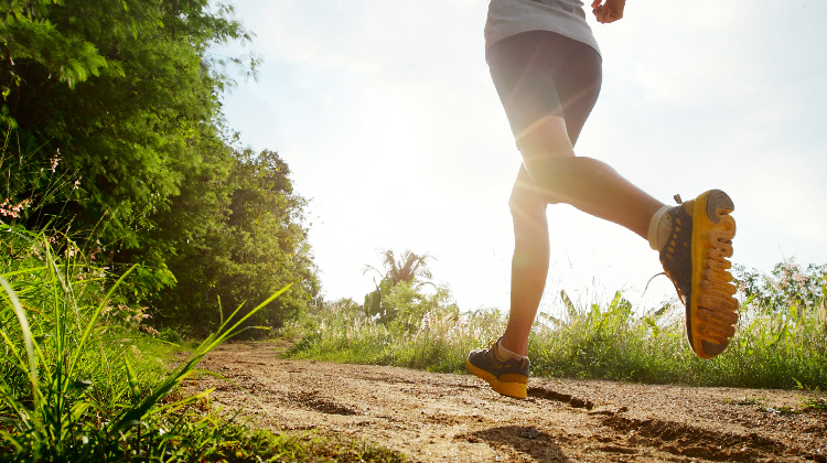 21天轻体打卡套餐！一起努力，一起变美