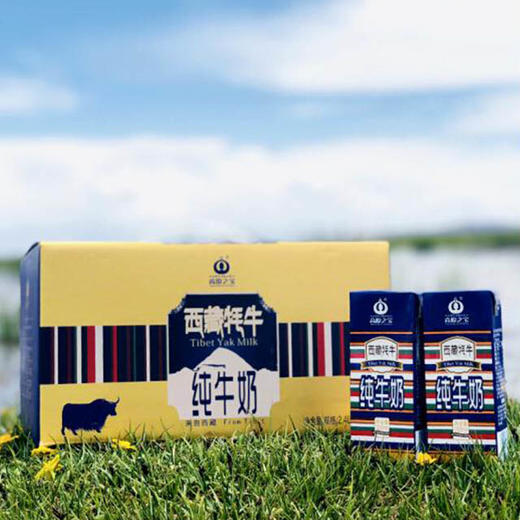 【西藏牦牛奶】200ml*12盒 高原之宝，牦牛奶 成人孕妇学生儿童牛奶 纯奶 牛乳 商品图3