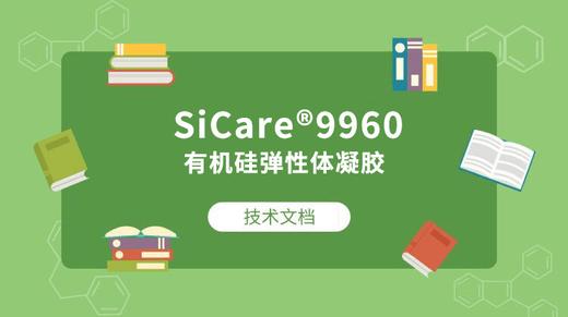 SiCare®9960 TDS 产品技术文档（CN） 商品图0