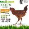 秦邦吉品 有机小仔鸡2只+有机玉米10根 商品缩略图1