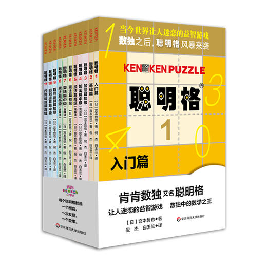 聪明格 全套11册 入门+中级+初级+高级 含四则运算的升级版数独 培育逻辑思维训练工具8-88岁老少咸宜 商品图2