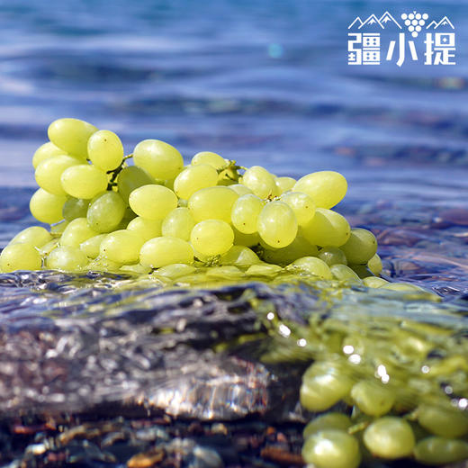 新疆无核白葡萄4.5-5斤/件 商品图3