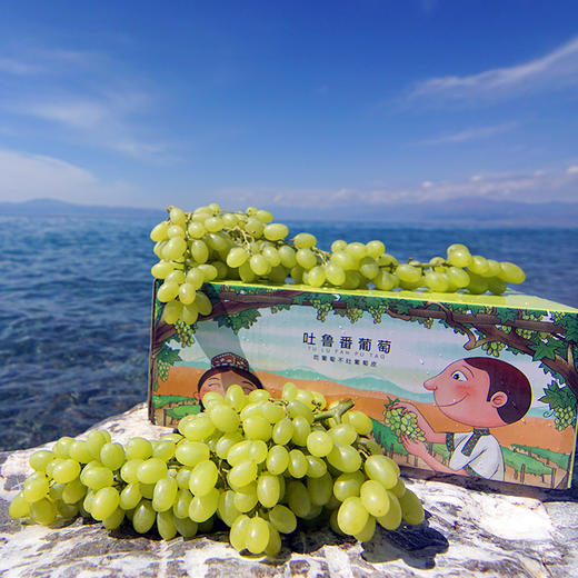 新疆无核白葡萄4.5-5斤/件 商品图2