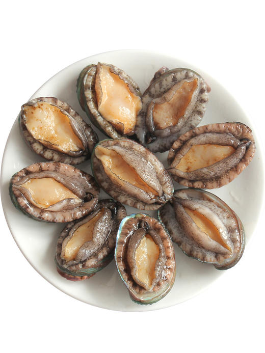 1鲍鱼仔(冰)300g±50g 商品图4