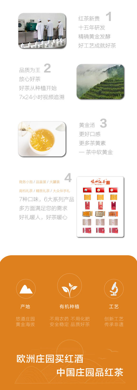 老枞50克品鉴装 商品图8