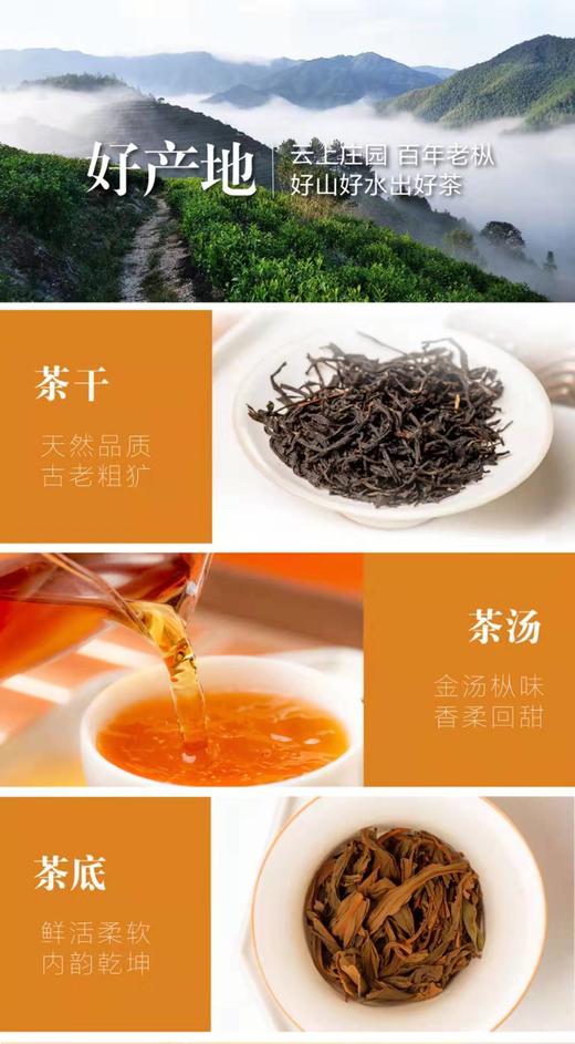 老枞50克品鉴装 商品图4