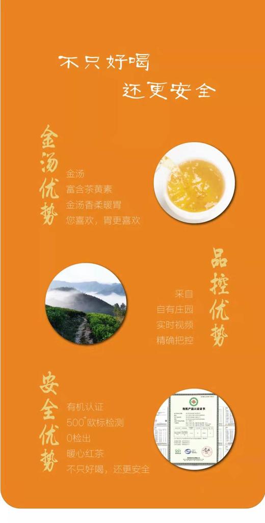 老枞50克品鉴装 商品图7