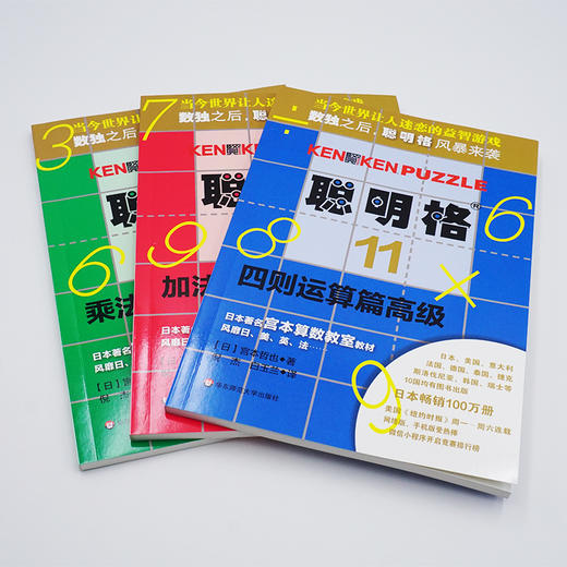 聪明格 全套11册 入门+中级+初级+高级 含四则运算的升级版数独 培育逻辑思维训练工具8-88岁老少咸宜 商品图4