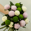 【周四团购】10枝混搭乒乓球花49.9元 2人拼团 商品缩略图1