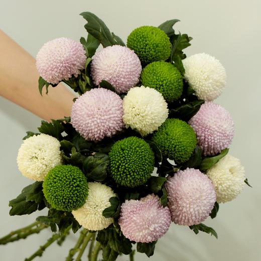 【周四团购】10枝混搭乒乓球花49.9元 2人拼团 商品图1