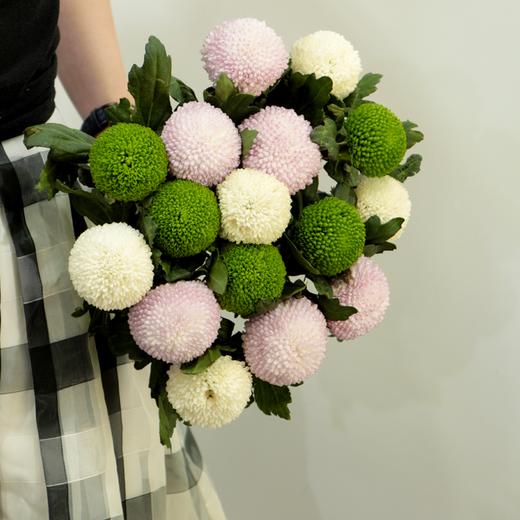 【周四团购】10枝混搭乒乓球花49.9元 2人拼团 商品图0