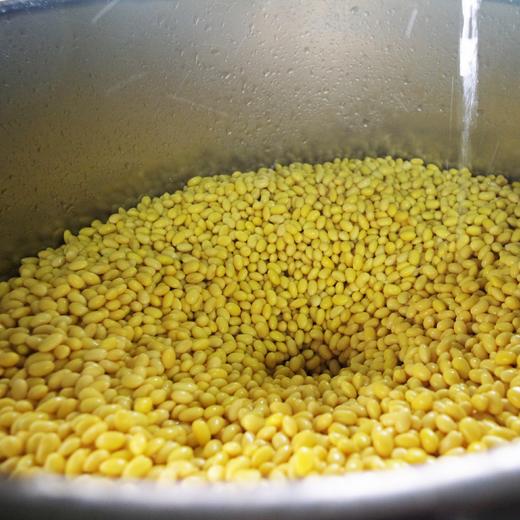 生态豆干 | 绿家自产*Eco- dried Tofu | Self-production 商品图2