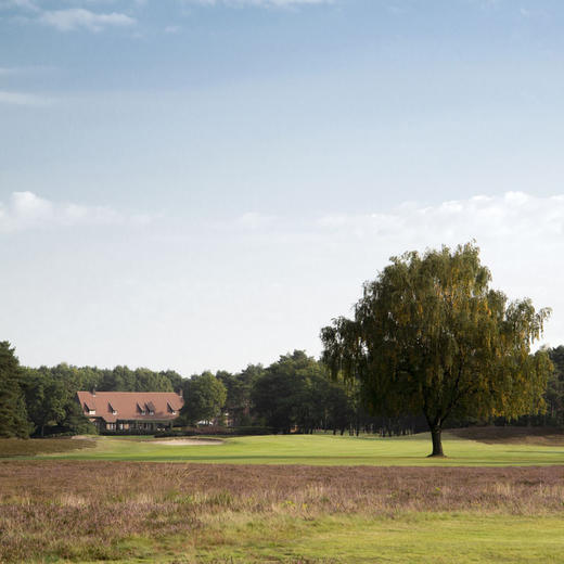 皇家林堡高尔夫俱乐部 Royal Limburg Golf Club | 布鲁塞尔高尔夫球场 | 比利时高尔夫球场俱乐部 | 欧洲 商品图6