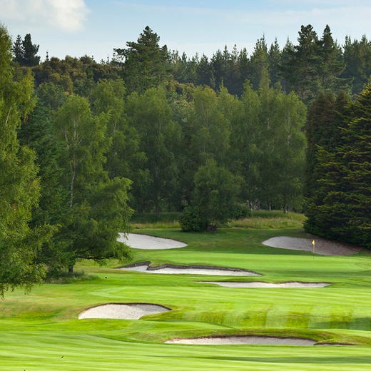 怀拉基高尔夫球场与保护区 Wairakei Golf + Sanctuary  | 陶波高尔夫球场 | 新西兰高尔夫球场俱乐部 | 北岛 商品图4