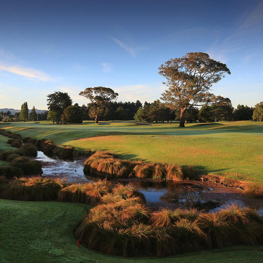 基督城高尔夫俱乐部 Christchurch Golf Club  | 基督城高尔夫球场 | 新西兰高尔夫球场俱乐部 | 南岛 商品图0