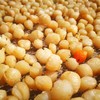 生态干贝丁 | 合作生产 * Eco-Dry scallops | Coprodution 商品缩略图2