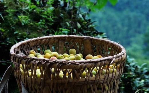 酸梅汤为什么有烟熏味 商品图0