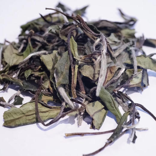 2018年建阳漳墩小白茶（2罐） 商品图3