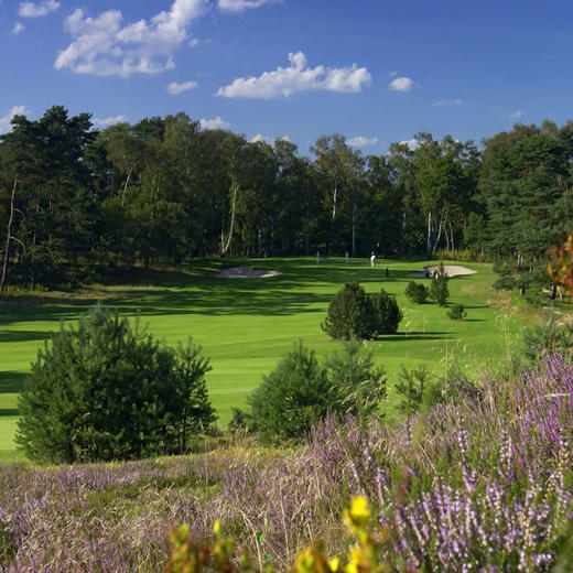 汉堡高尔夫俱乐部 Hamburger Golf Club | 汉堡高尔夫球场 | 德国高尔夫球场俱乐部 | 欧洲高尔夫 商品图3