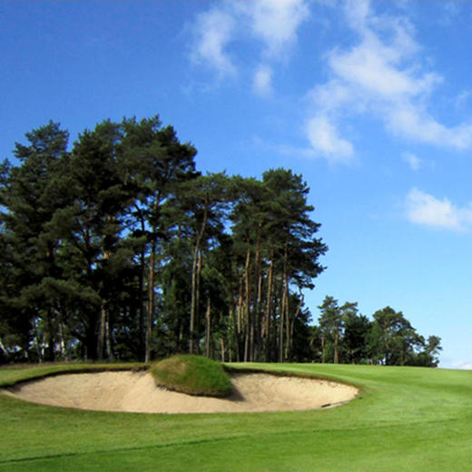 汉堡高尔夫俱乐部 Hamburger Golf Club | 汉堡高尔夫球场 | 德国高尔夫球场俱乐部 | 欧洲高尔夫 商品图5