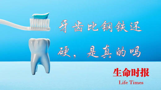 牙齿比钢铁还硬是真的吗？ 商品图0
