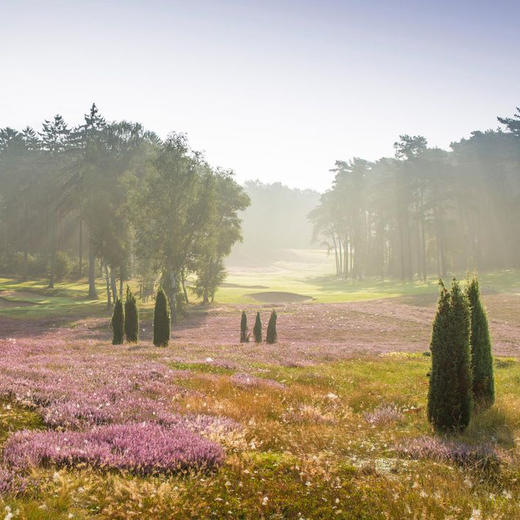 汉堡高尔夫俱乐部 Hamburger Golf Club | 汉堡高尔夫球场 | 德国高尔夫球场俱乐部 | 欧洲高尔夫 商品图0