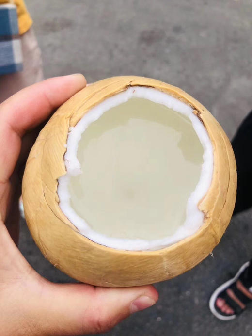 泰国🇹🇭老树椰皇🌴——精选老树果，椰汁香甜醇厚 商品图2