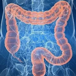 【为肠之道】 肠道菌群的风风雨雨（5）（最后一章） 