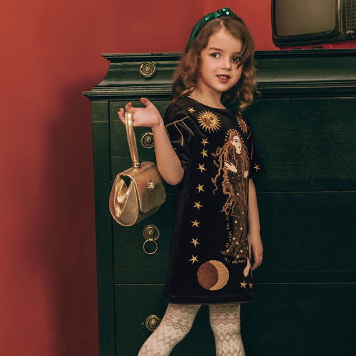 黑色印花刺绣复古丝绒连衣裙 商品图1