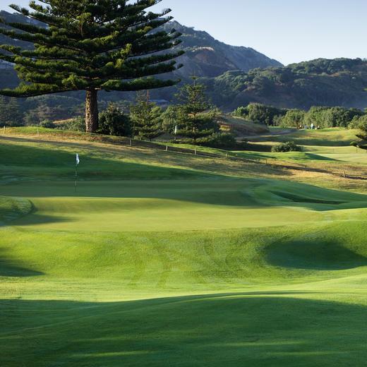穆里怀林克斯高尔夫球场 Muriwai Golf Links I 奥克兰高尔夫 I 新西兰高尔夫球场俱乐部 I 北岛高尔夫 商品图3