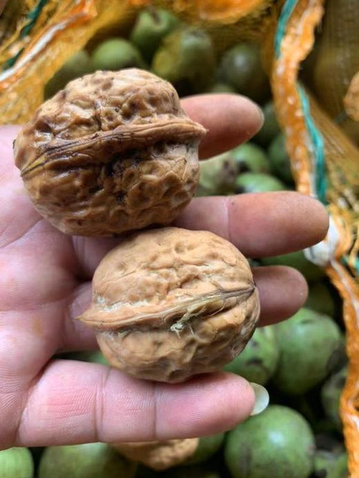 新鲜核桃3斤装 商品图1