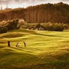 穆里怀林克斯高尔夫球场 Muriwai Golf Links I 奥克兰高尔夫 I 新西兰高尔夫球场俱乐部 I 北岛高尔夫 商品缩略图1