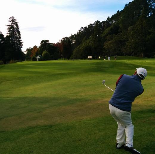 惠特福德公园高尔夫俱乐部 Whitford Park Golf Club | 奥克兰高尔夫球场 | 新西兰高尔夫球场俱乐部 | 北岛 商品图2