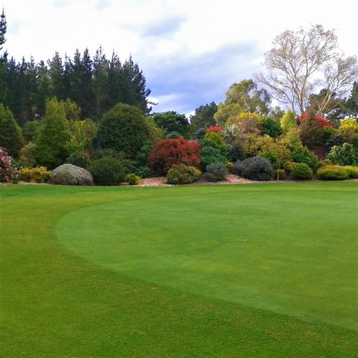 马顿高尔夫俱乐部 Marton Golf Club | 旺加努伊高尔夫球场  | 新西兰高尔夫球场俱乐部 | 北岛 商品图3