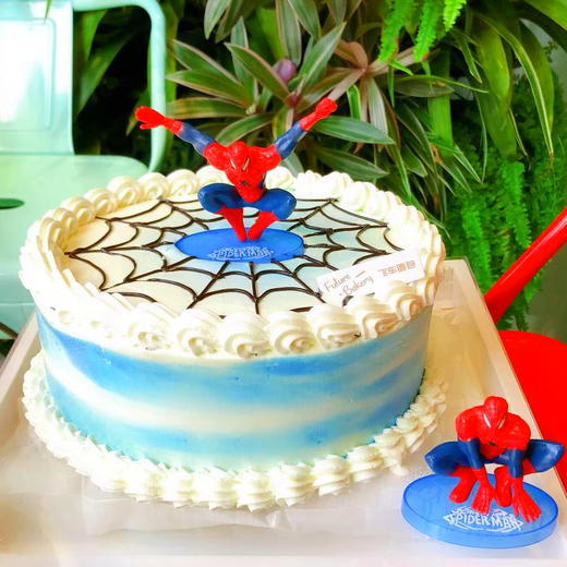 蜘蛛侠 商品图1