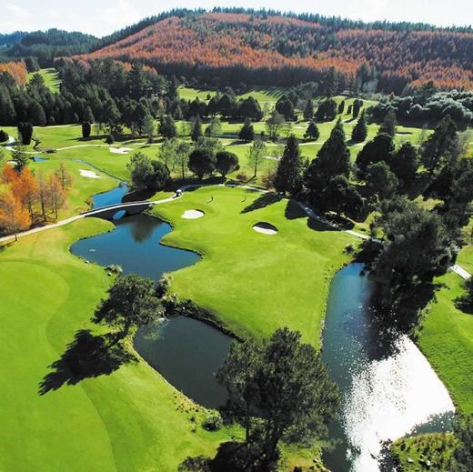 陶波高尔夫俱乐部 Taupo Golf Club | 陶波高尔夫球场  | 新西兰高尔夫球场俱乐部 | 北岛 商品图2