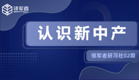 2.新中产：身处时代急流奋力前行的群体