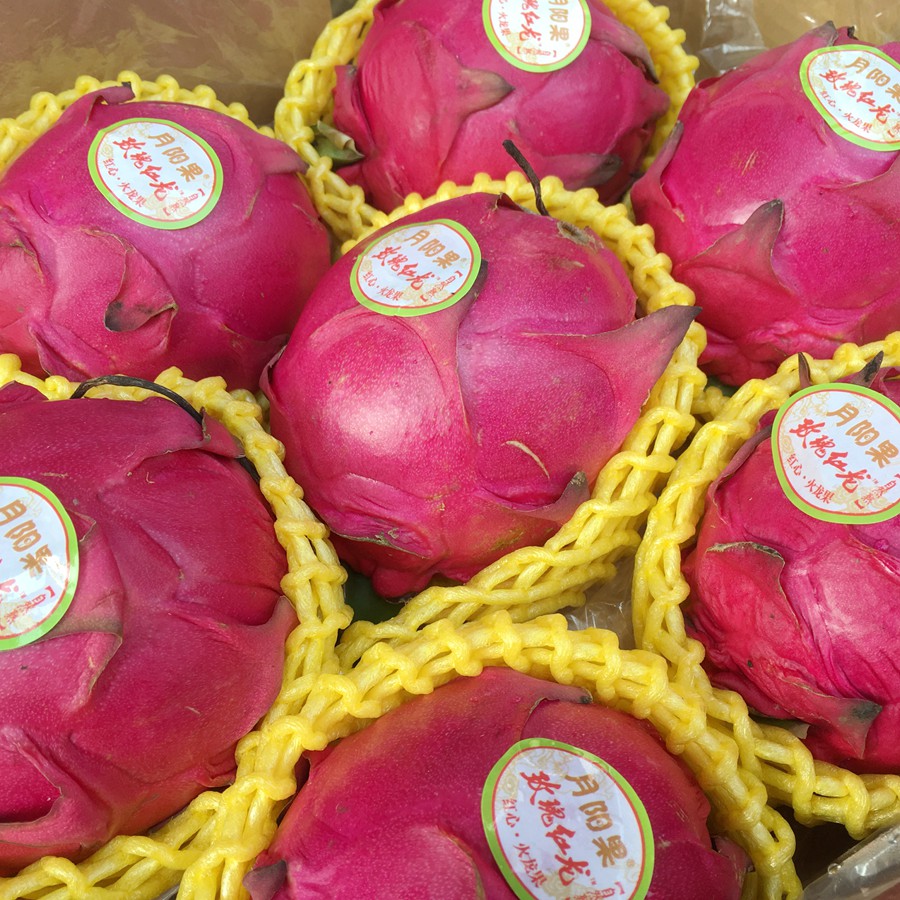 【北纬18°】海南蜜宝红心火龙果大果0.9-1斤(水果)