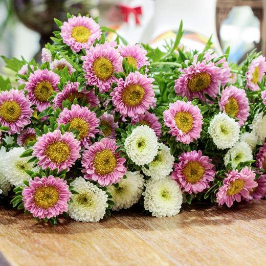 【周四团购】5枝混搭翠菊39.9元 2人拼团 商品图3