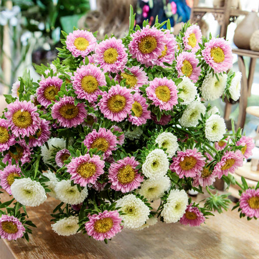 【周四团购】5枝混搭翠菊39.9元 2人拼团 商品图1